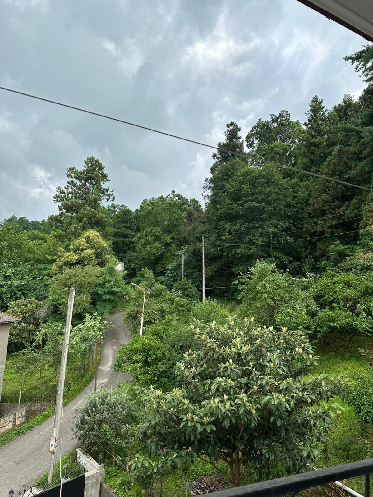 Shamil House Pensionat Makhinjauri Exteriör bild